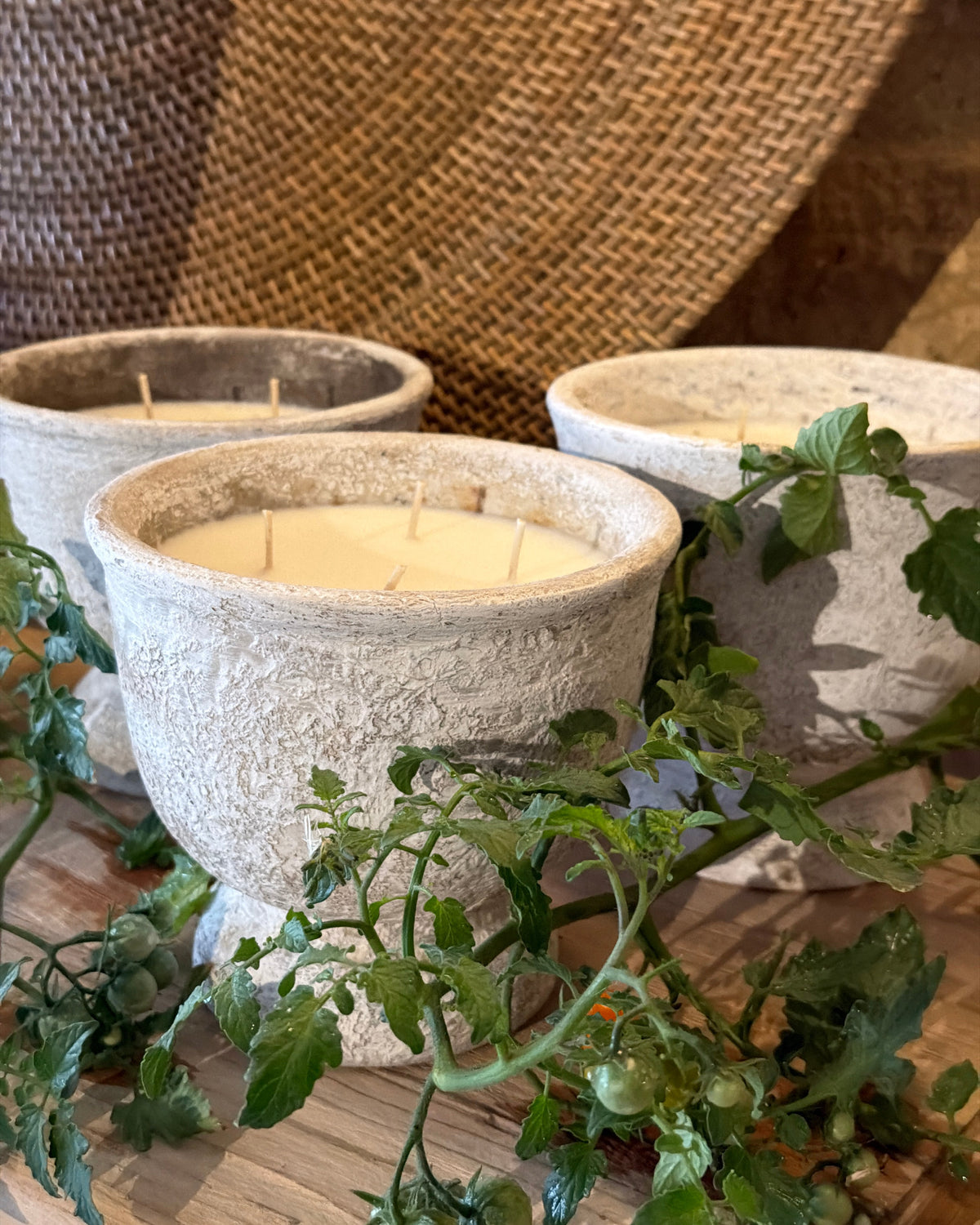 Handmade 4 Wick Coco Soy Wax Candle