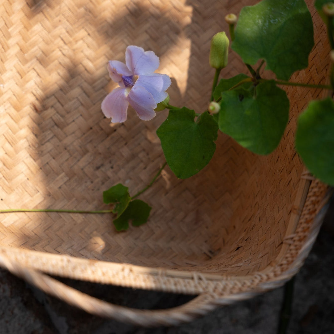 Scarcroft Rectangular Basket with Handle